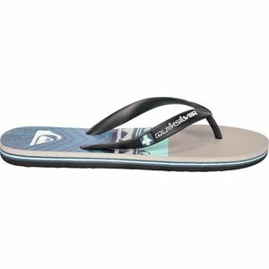 Quiksilver MOLOKAI PANEL Férfi flip-flop papucs, kék, méret 44 kép