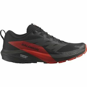 Salomon SENSE RIDE 5 Férfi terep futócipő, fekete, méret 42 2/3 kép