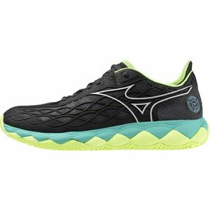 Mizuno WAVE ENFORCE TOUR CC Férfi teniszcipő, fekete, méret 46 kép