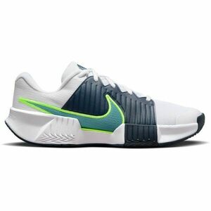 Nike GP CHALLENGE PRO Férfi teniszcipő, fehér, méret 44 kép