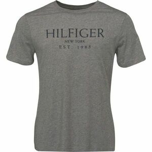 Tommy Hilfiger BIG HILFIGER TEE Férfi póló, sötétszürke, méret kép