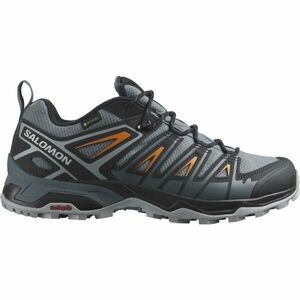 Salomon X ULTRA PIONEER GTX Férfi túracipő, szürke, méret 42 2/3 kép