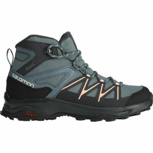 Salomon DAINTREE MID GTX W Női túracipő, szürke, méret 36 2/3 kép