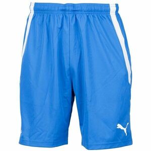 Puma TEAM LIGA SHORTS Férfi rövidnadrág, kék, méret kép