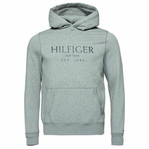 Tommy Hilfiger BIG HILFIGER HOODY Férfi pulóver, szürke, méret kép