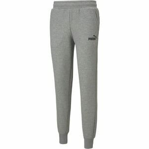 Puma ESS + 2 COL LOGO PANTS FL B Fiú melegítőnadrág, szürke, méret kép