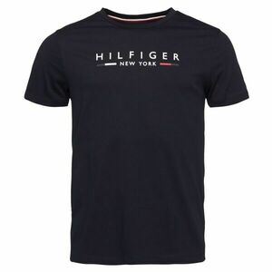 Tommy Hilfiger HILFIGER NEW YORK TEE Férfi póló, sötétkék, méret kép