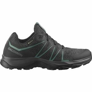 Salomon WARRA GTX W Női túracipő, fekete, méret 38 kép