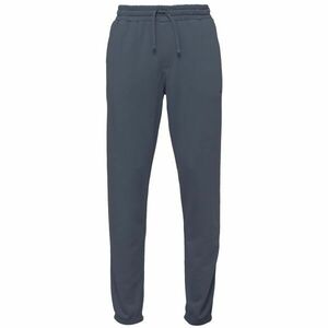 Quiksilver SALT WATER JOGGER Férfi melegítőnadrág, sötétkék, méret kép