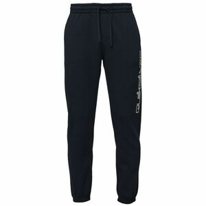 Quiksilver GRAPHIC JOGGER Férfi melegítőnadrág, sötétkék, méret kép