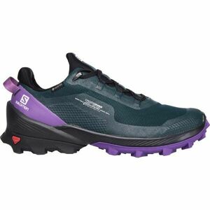 Salomon CROSS OVER GTX W Női túracipő, sötétzöld, méret 38 2/3 kép