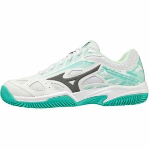 Mizuno BREAKSHOT 3 CC Női teniszcipő, fehér, méret 38 kép