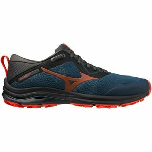 Mizuno WAVE RIDER TT Férfi futócipő, kék, méret 43 kép