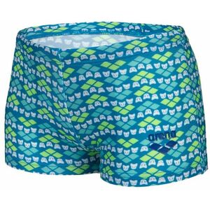 Arena friends swim short boys soft green/multi 98cm kép