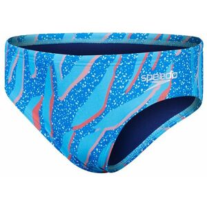 Speedo digi allover 6.5cm brief boy bright blue 164cm kép