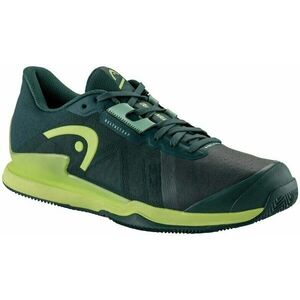 Head Sprint Pro 3.5 Clay Men Forest Green/Light Green 44, 5 Férfi tenisz cipők kép