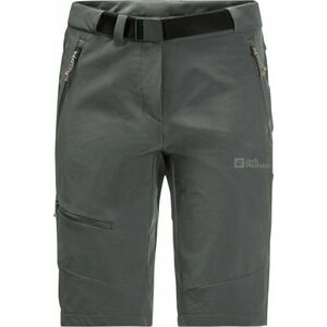 Jack Wolfskin Ziegspitz Shorts W Slate Green S-M Rövidnadrág kép