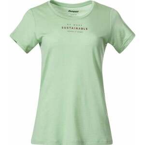 Bergans Graphic Wool Tee Women Light Jade Green/Chianti Red XS Póló kép