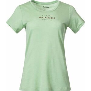 Bergans Graphic Wool Tee Women Light Jade Green/Chianti Red S Póló kép