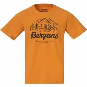 Bergans Classic V2 Tee Men Golden Field S Póló kép