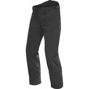 Dainese P001 Dermizax EV Mens Ski Pants Stretch Limo XL Sínadrág kép