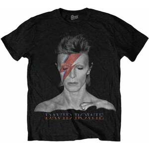 David Bowie Ing Aladdin Sane Unisex Black XL kép