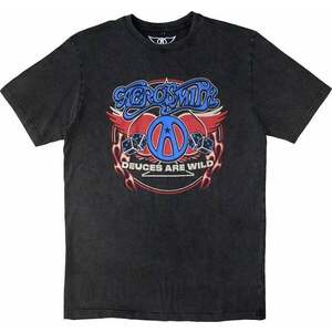 Aerosmith Ing Rainbow Spade Stone Wash Unisex Charcoal Grey M kép