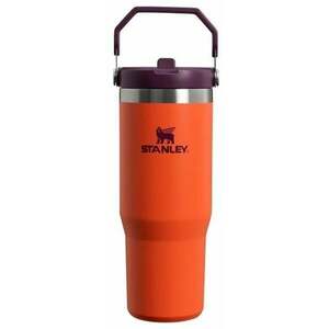 Stanley IceFlow Flip Straw Tumbler Tigerlily Plum 890 ml Termosz kép