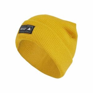 Téli sapka ADIDAS ESS BEANIE CUFF ACTGOL BLACK WHITE kép