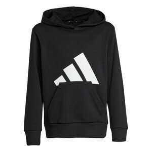 Big Logo Hoodie kép