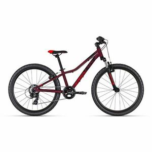 Gyerek kerékpár KELLYS KITER 50 24" - model 2025 kép