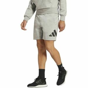 adidas BIG LOGO SHORTS Férfi rövidnadrág, szürke, méret XXL kép