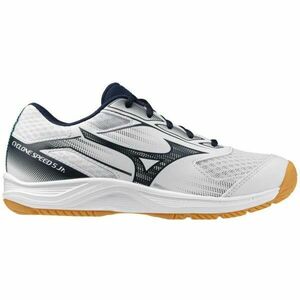 Mizuno CYCLONE SPEED 5 JR Junior teremcipő, fehér, méret 38.5 kép