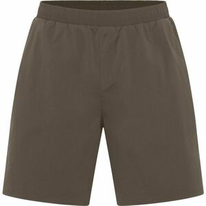 Jack Wolfskin WAGAMI M Férfi rövidnadrág, barna, méret kép