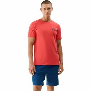 4F BEACH TSHIRT Férfi póló, piros, méret kép