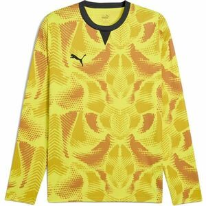 Puma TEAMTARGET GL LS JERSEY Férfi kapus mez, sárga, méret kép