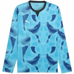 Puma TEAMTARGET GL LS JERSEY Férfi kapus mez, kék, méret kép