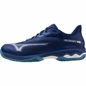 Mizuno WAVE EXCEED LIGHT 2 CC Férfi teniszcipő, kék, méret 44.5 kép