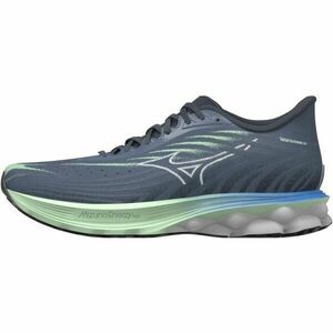 Mizuno WAVE SKYRISE 6 Férfi futócipő, szürke, méret 45 kép