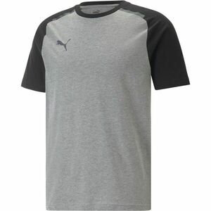 Puma TEAMCUP CASUALS TEE Futballpóló, sötétszürke, méret kép