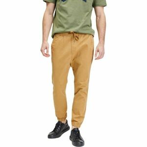 GAP V-ESSENTIAL JOGGER Férfi nadrág, sárga, méret kép