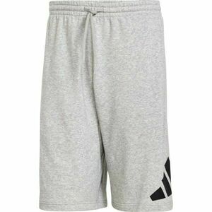 adidas ESSENTIALS BIG LOGO FRENCH TERRY SHORTS Férfi rövidnadrág, szürke, méret XXXL kép