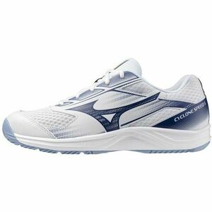Mizuno CYCLONE SPEED 5 Férfi teremcipő, fehér, méret 40 kép