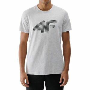 4F TSHIRT Férfi póló, szürke, méret kép