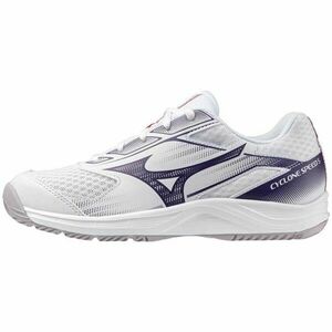 Mizuno CYCLONE SPEED 5 W Női teremcipő, fehér, méret 40.5 kép