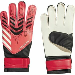 adidas PREDATOR TRAINING Férfi kapuskesztyű, piros, méret kép