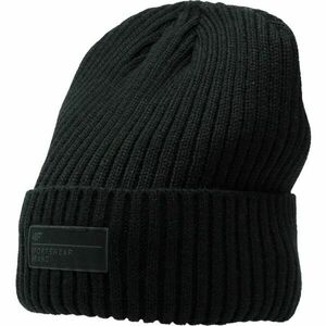 4F WINTER CAP Férfi téli sapka, fekete, méret kép