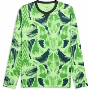 Puma TEAMTARGET GL LS JERSEY Férfi kapus mez, zöld, méret kép