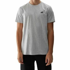 4F T-SHIRT Férfi felső, szürke, méret kép