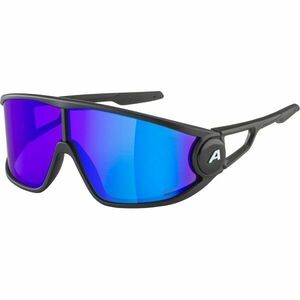 Alpina Sports LEGEND Q-LITE Napszemüveg, fekete, méret kép